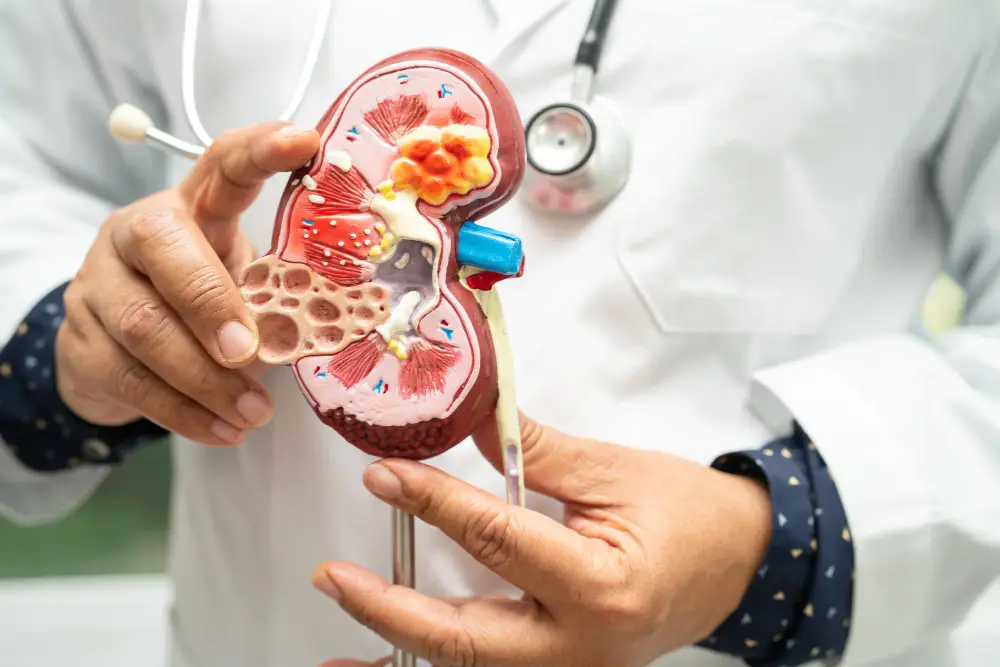 Chronic Kidney Disease: Early Detection and Management