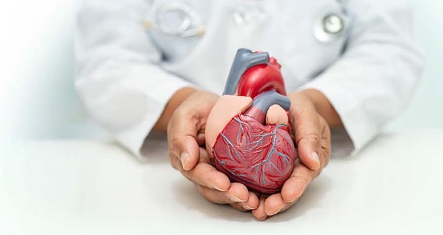 Heart & Lung Transplant